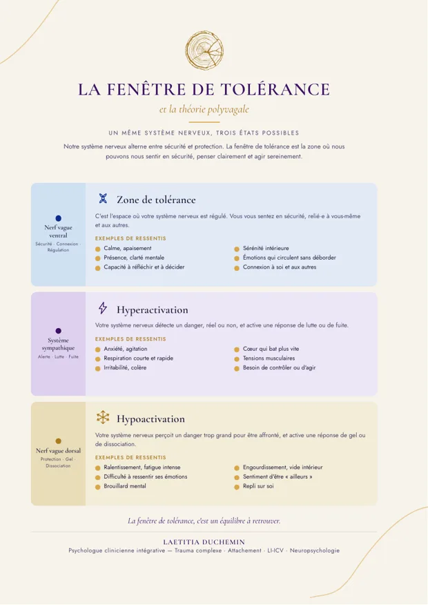 Aperçu de l'affiche : la fenêtre de tolérance et la théorie polyvagale, avec la zone de tolérance, l'hyperactivation et l'hypoactivation